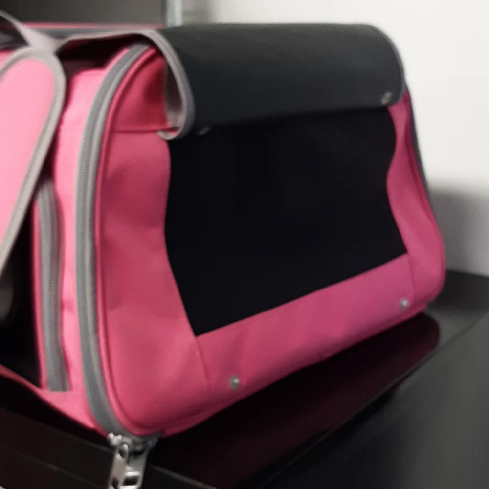 COLLAPSIBLE PET CARRIER